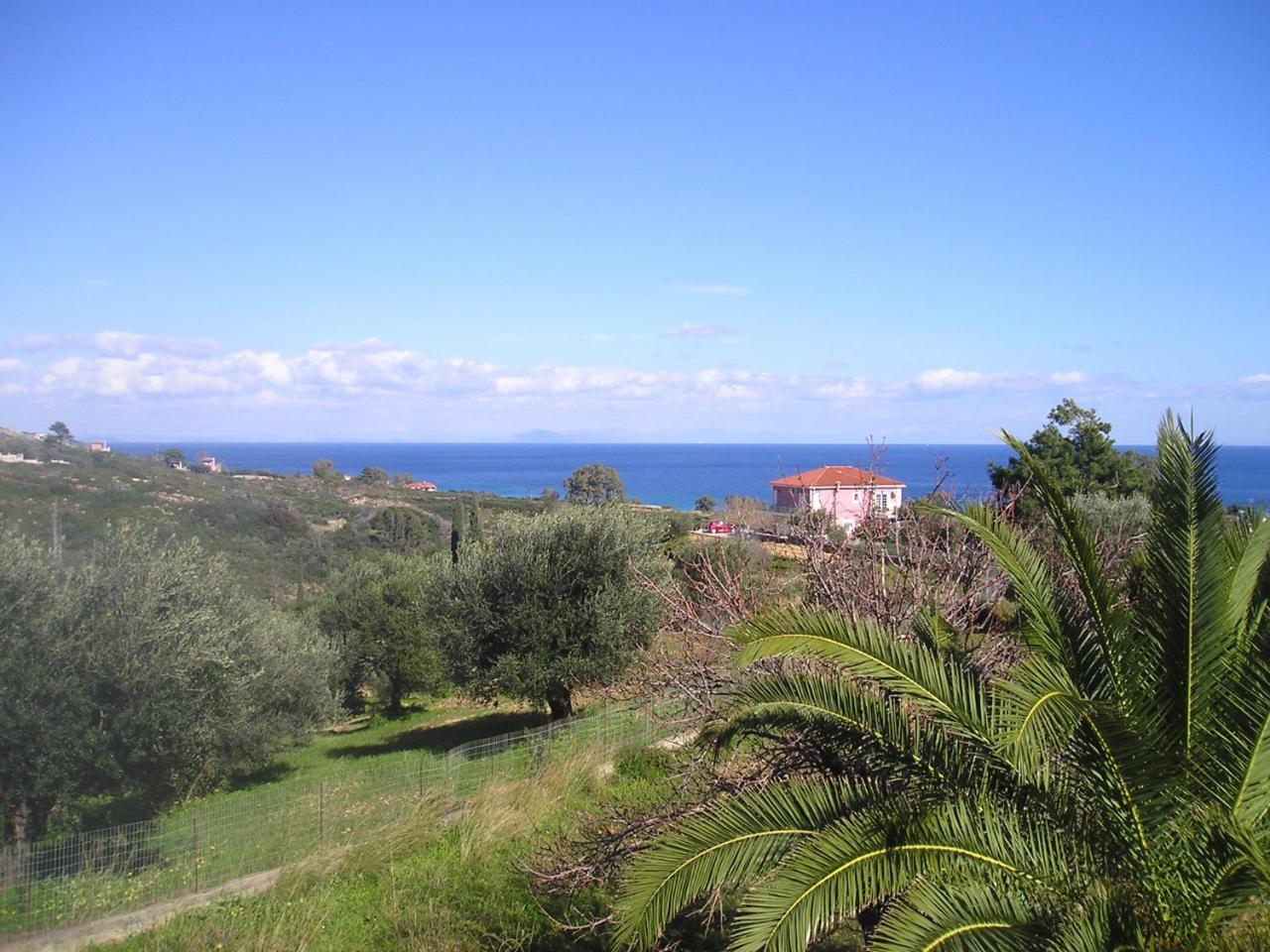 Nikolaos Studios Skala Skala  Extérieur photo